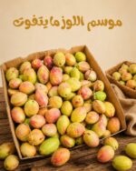 Loz - لوز